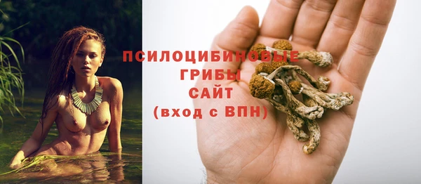 прущие грибы Лихославль