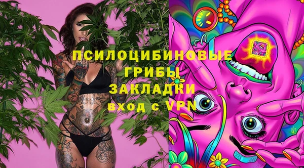 прущие грибы Лихославль