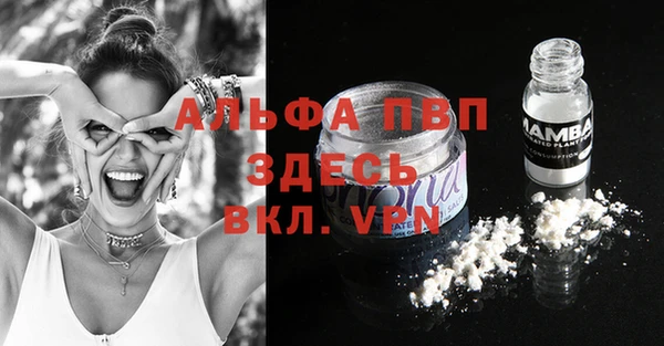 прущие грибы Лихославль